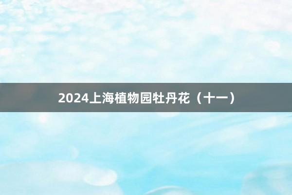 2024上海植物园牡丹花（十一）