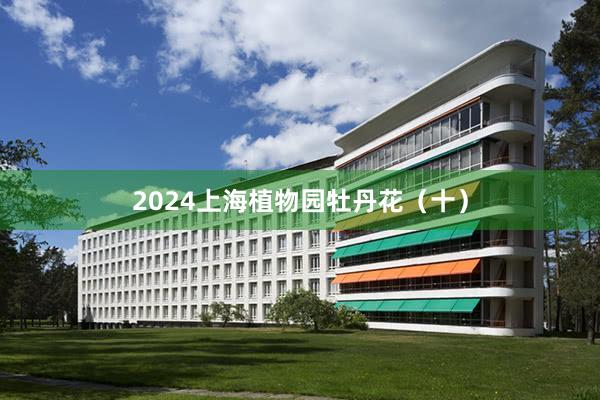 2024上海植物园牡丹花（十）