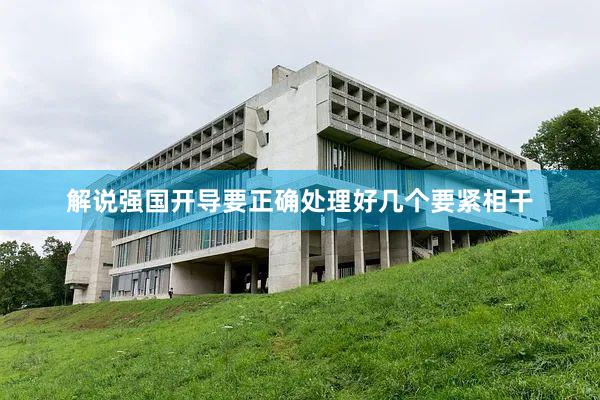 解说强国开导要正确处理好几个要紧相干