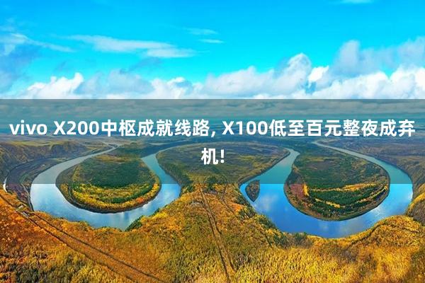 vivo X200中枢成就线路, X100低至百元整夜成弃机!