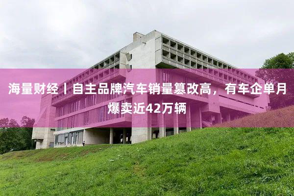 海量财经丨自主品牌汽车销量篡改高，有车企单月爆卖近42万辆