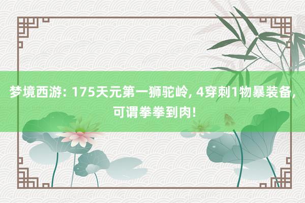 梦境西游: 175天元第一狮驼岭, 4穿刺1物暴装备, 可谓拳拳到肉!