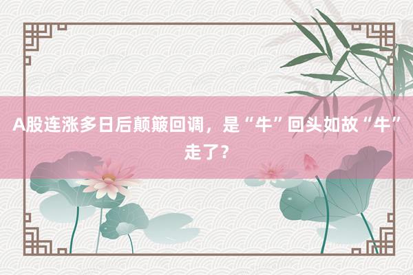 A股连涨多日后颠簸回调，是“牛”回头如故“牛”走了？