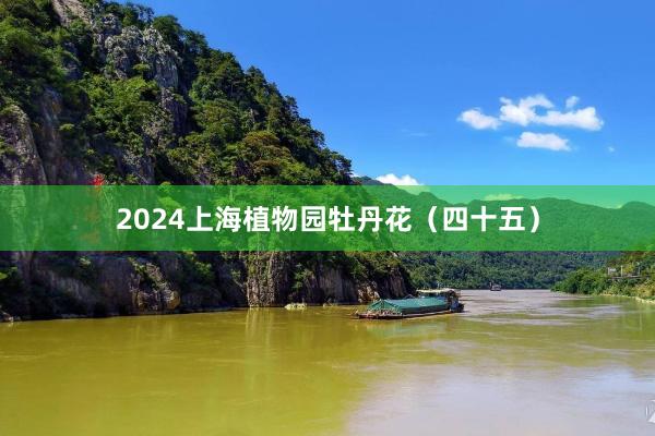 2024上海植物园牡丹花（四十五）