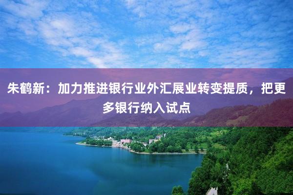 朱鹤新：加力推进银行业外汇展业转变提质，把更多银行纳入试点