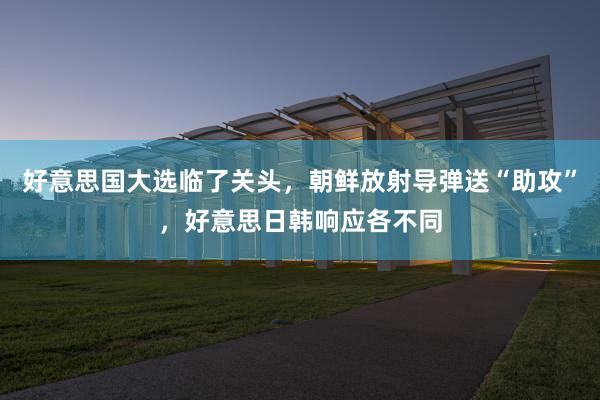 好意思国大选临了关头，朝鲜放射导弹送“助攻”，好意思日韩响应各不同