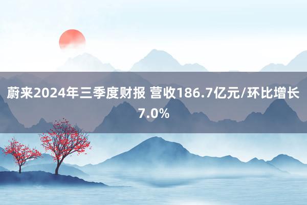 蔚来2024年三季度财报 营收186.7亿元/环比增长7.0